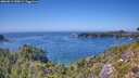 ./images/calvert/foggy-cove/20260812/foggy-cove20260812_150001M.jpg