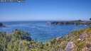 ./images/calvert/foggy-cove/20260812/foggy-cove20260812_150501M.jpg