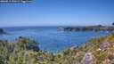 ./images/calvert/foggy-cove/20260812/foggy-cove20260812_151001M.jpg