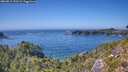 ./images/calvert/foggy-cove/20260812/foggy-cove20260812_151501M.jpg