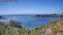 ./images/calvert/foggy-cove/20260812/foggy-cove20260812_155501M.jpg