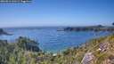./images/calvert/foggy-cove/20260812/foggy-cove20260812_160501M.jpg