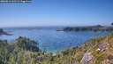 ./images/calvert/foggy-cove/20260812/foggy-cove20260812_161501M.jpg