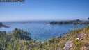 ./images/calvert/foggy-cove/20260812/foggy-cove20260812_162001M.jpg