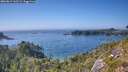 ./images/calvert/foggy-cove/20260812/foggy-cove20260812_162501M.jpg