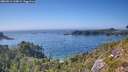 ./images/calvert/foggy-cove/20260812/foggy-cove20260812_163001M.jpg