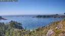./images/calvert/foggy-cove/20260812/foggy-cove20260812_163501M.jpg