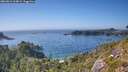 ./images/calvert/foggy-cove/20260812/foggy-cove20260812_164002M.jpg