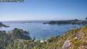 ./images/calvert/foggy-cove/20260812/foggy-cove20260812_171501M.jpg