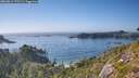 ./images/calvert/foggy-cove/20260812/foggy-cove20260812_172501M.jpg