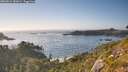 ./images/calvert/foggy-cove/20260812/foggy-cove20260812_182001M.jpg