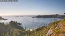 ./images/calvert/foggy-cove/20260812/foggy-cove20260812_182501M.jpg
