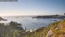 ./images/calvert/foggy-cove/20260812/foggy-cove20260812_183001M.jpg