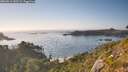 ./images/calvert/foggy-cove/20260812/foggy-cove20260812_183501M.jpg