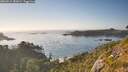 ./images/calvert/foggy-cove/20260812/foggy-cove20260812_185001M.jpg