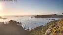 ./images/calvert/foggy-cove/20260812/foggy-cove20260812_200501M.jpg