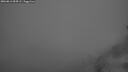 ./images/calvert/foggy-cove/20260813/foggy-cove20260813_054502M.jpg