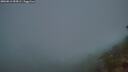 ./images/calvert/foggy-cove/20260813/foggy-cove20260813_055001M.jpg