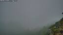 ./images/calvert/foggy-cove/20260813/foggy-cove20260813_055501M.jpg