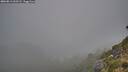 ./images/calvert/foggy-cove/20260813/foggy-cove20260813_060501M.jpg