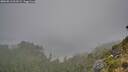 ./images/calvert/foggy-cove/20260813/foggy-cove20260813_061001M.jpg