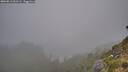 ./images/calvert/foggy-cove/20260813/foggy-cove20260813_061502M.jpg