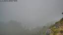 ./images/calvert/foggy-cove/20260813/foggy-cove20260813_062001M.jpg
