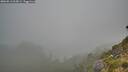 ./images/calvert/foggy-cove/20260813/foggy-cove20260813_063001M.jpg