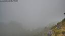 ./images/calvert/foggy-cove/20260813/foggy-cove20260813_063501M.jpg