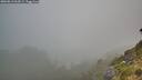 ./images/calvert/foggy-cove/20260813/foggy-cove20260813_064501M.jpg