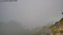./images/calvert/foggy-cove/20260813/foggy-cove20260813_065001M.jpg