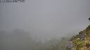 ./images/calvert/foggy-cove/20260813/foggy-cove20260813_070001M.jpg