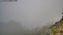 ./images/calvert/foggy-cove/20260813/foggy-cove20260813_070501M.jpg
