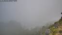 ./images/calvert/foggy-cove/20260813/foggy-cove20260813_071002M.jpg