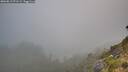 ./images/calvert/foggy-cove/20260813/foggy-cove20260813_071501M.jpg