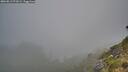 ./images/calvert/foggy-cove/20260813/foggy-cove20260813_072001M.jpg
