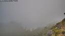 ./images/calvert/foggy-cove/20260813/foggy-cove20260813_072501M.jpg