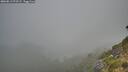 ./images/calvert/foggy-cove/20260813/foggy-cove20260813_073501M.jpg