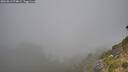 ./images/calvert/foggy-cove/20260813/foggy-cove20260813_074001M.jpg