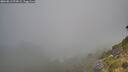 ./images/calvert/foggy-cove/20260813/foggy-cove20260813_074501M.jpg