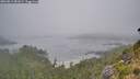 ./images/calvert/foggy-cove/20260813/foggy-cove20260813_081001M.jpg