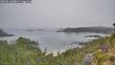 ./images/calvert/foggy-cove/20260813/foggy-cove20260813_084001M.jpg