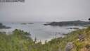 ./images/calvert/foggy-cove/20260813/foggy-cove20260813_090502M.jpg
