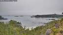 ./images/calvert/foggy-cove/20260813/foggy-cove20260813_091001M.jpg