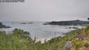 ./images/calvert/foggy-cove/20260813/foggy-cove20260813_091501M.jpg