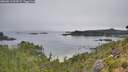 ./images/calvert/foggy-cove/20260813/foggy-cove20260813_092001M.jpg