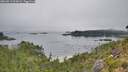 ./images/calvert/foggy-cove/20260813/foggy-cove20260813_095001M.jpg