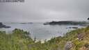 ./images/calvert/foggy-cove/20260813/foggy-cove20260813_100001M.jpg