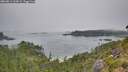 ./images/calvert/foggy-cove/20260813/foggy-cove20260813_103001M.jpg
