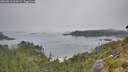 ./images/calvert/foggy-cove/20260813/foggy-cove20260813_103501M.jpg